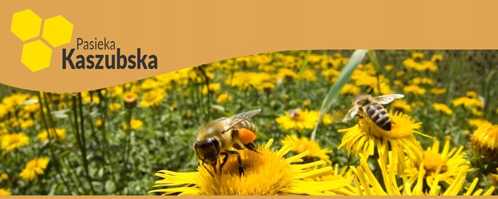 EKSTRAKT PROPOLISOWY PROPOLIS 20% 100ml