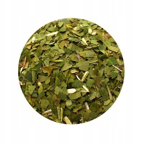 Yerba Mate Green ORIGINAL BIO Organica 1kg 1000g