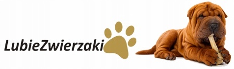 Karma dla psa mokra mięso surowe mrożone drób tuszki witaminy BARF 10kg