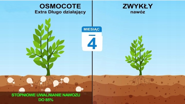 SUBSTRAL OSMOCOTE IGLAK 4,5kg NAWÓZ 2w1 TUJE