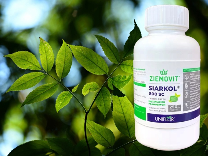 SIARKOL 800 SC SIARKA ŚRODEK GRZYBOBÓJCZY NA MĄCZNIAKA PRAWDZIWEGO 250ML