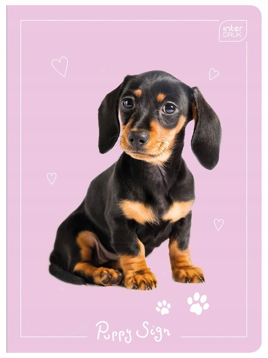 4 X ZESZYT A5, 32 KARTKI, KRATKA Z MARGINESEM, SŁODKIE KOTKI I PIESKI