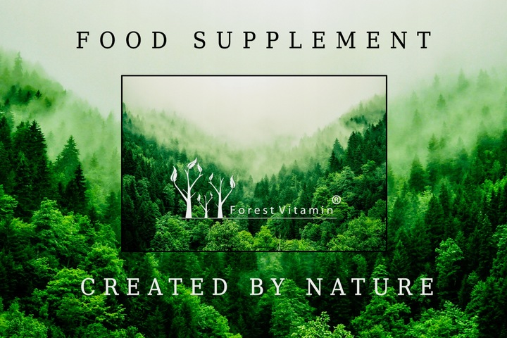 FOREST CDP CHOLINA CYTYKOLINA 60kaps PAMIĘĆ KONCENTRACJA ENERGIA MOCNA