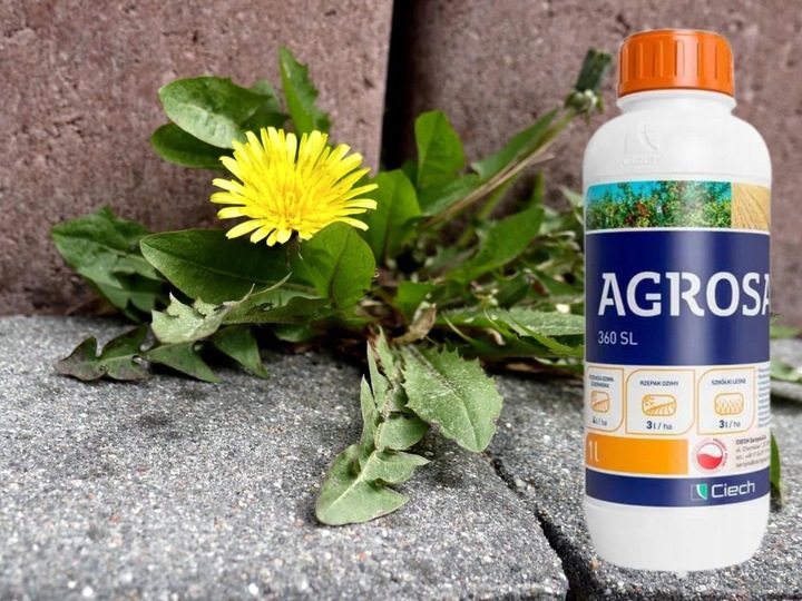 AGROSAR 360SL ŚRODEK CHWASTOBÓJCZY NA CHWASTY perz wiechliny mlecz 1l Ciech
