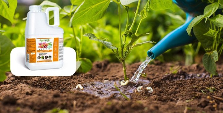 WROTYCZ EKSTRAKT OPRYSK NA PĘDRAKI OPUCHLAKI DRUTOWCE NICIENIE AGROPAK 5L