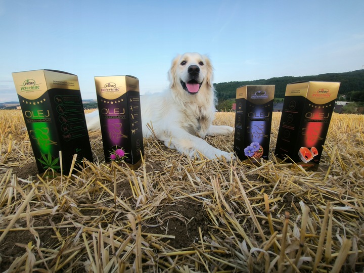 VITAR Veterinae Olej Lniany 500 ml - lśniąca sierść + doskonałe źródło