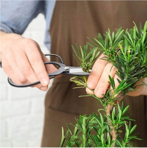 ZESTAW NARZĘDZI DO BONSAI