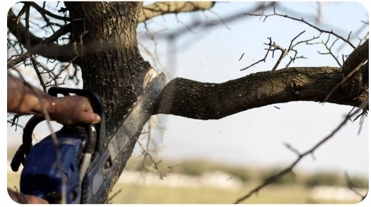 Olej SMAROWANIA łańcucha PROWADNIC PIŁY 5L pilarz PILARKI KONSERWACJI