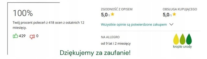 Miedziany kubek CLASSIC połysk 475 ml Gisane