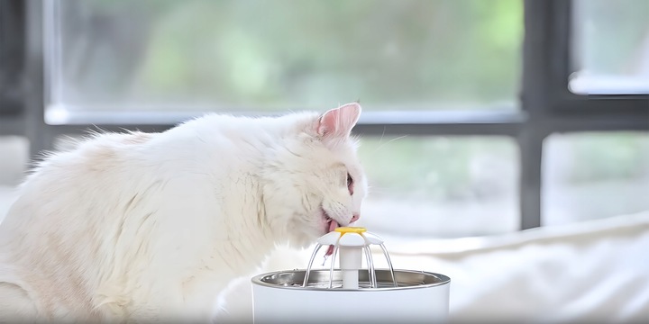 Poidełko Automatyczne Fontanna Wodna dla Kota Psa Miska Ciche Poidło +Filtr