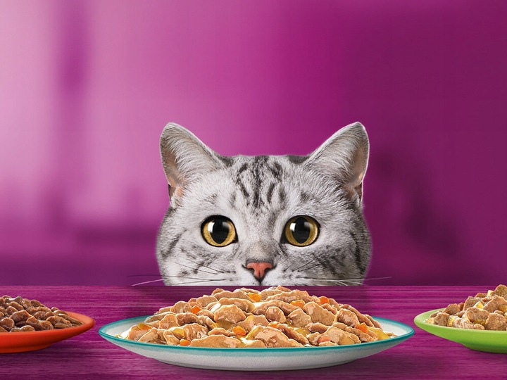 Karma dla kota WHISKAS Mix smaków (80 x 85 g)