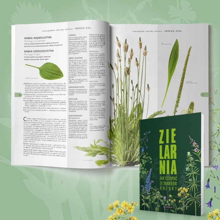 Wszystko o ZIOŁACH i ich zastosowaniu ZIELARNIA