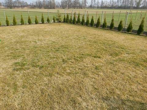 Nawóz do trawy do trawników na lato MAGGROW 20 kg