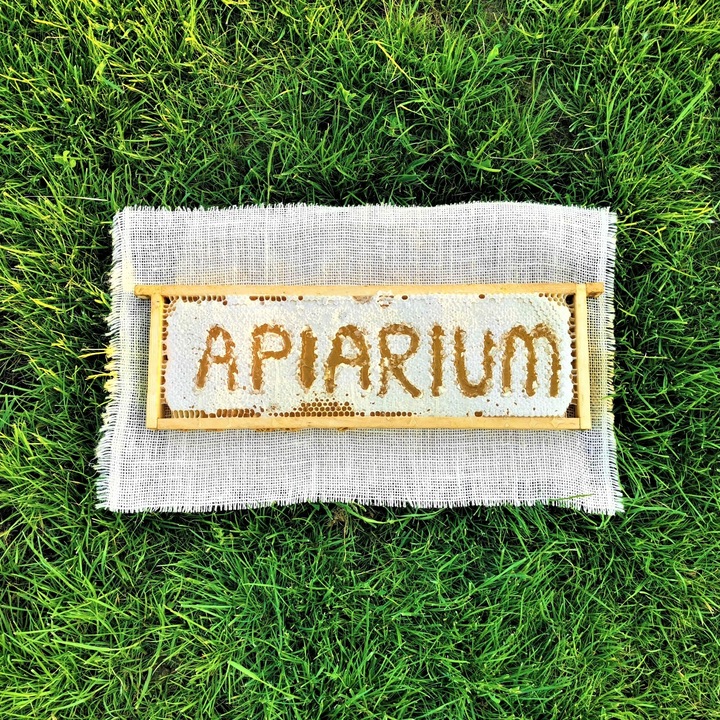 Świeży Miód LIPOWY z Lubelszczyzny NATURALNY