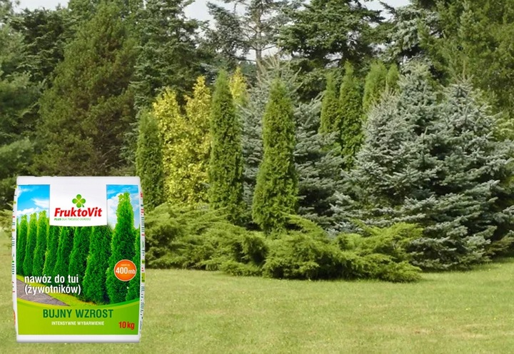 FRUKTOVIT PLUS NAWÓZ DO ŻYWOTNIKÓW TUI THUI BUJNY WZROST WYBARWIENIE 10KG