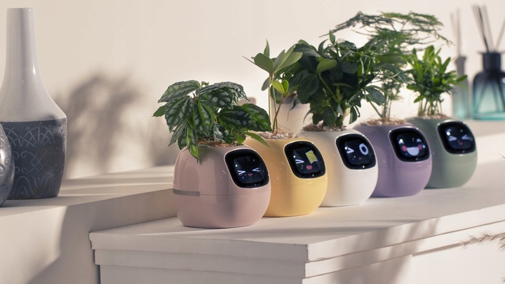 Inteligentna doniczka IVY SMART PLANTER osłonka na donicę PLANTSIO RÓŻOWA