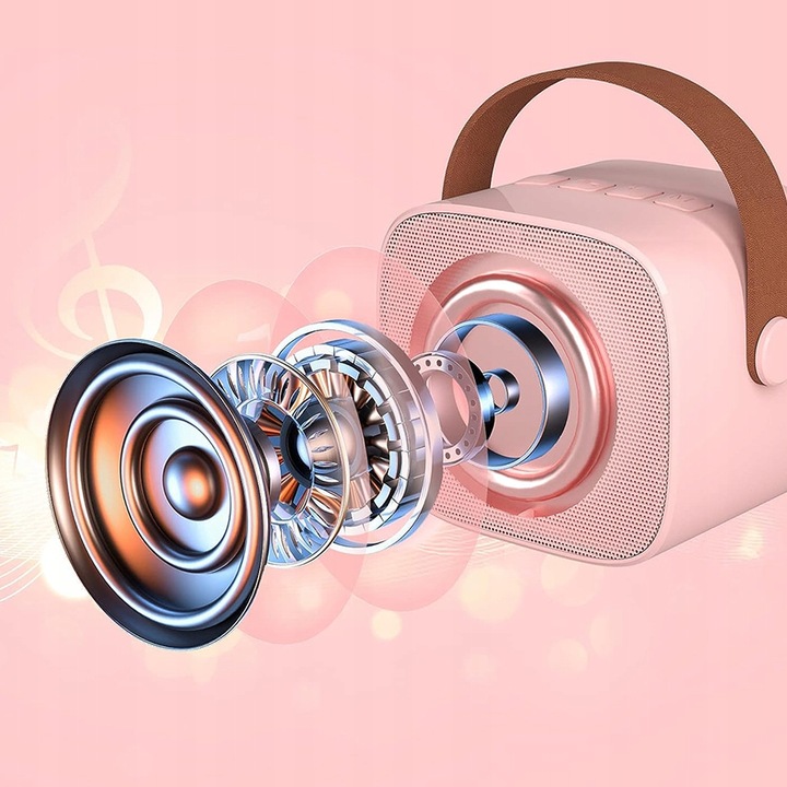 PRZENOŚNY ZESTAW DO KARAOKE BLUETOOTH 5.0 2000mAh