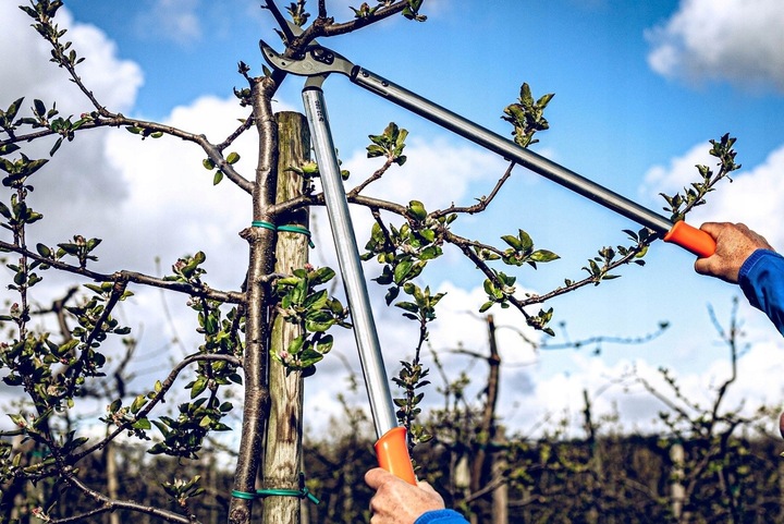 NOŻYCE KOWADEŁKOWE OGRODOWY DWURĘCZNY do GRUBYCH GAŁĘZI LOWE 22 80cm 45 mm
