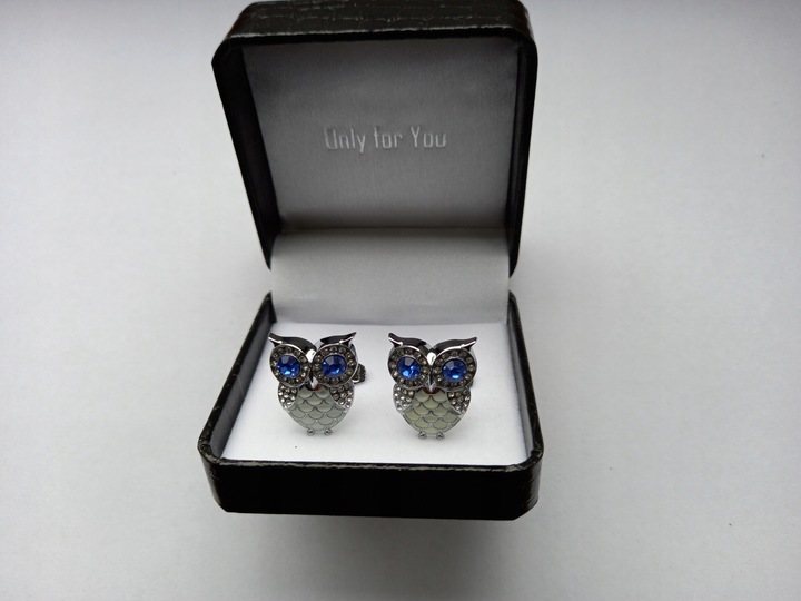 Srebrne spinki do mankietów koszuli Ptak Sowa