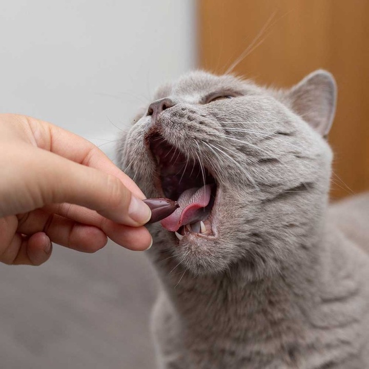 Vetexpert KalmVet ADVANCED TwistOff objawy stresu pies / kot 60 kapsułek