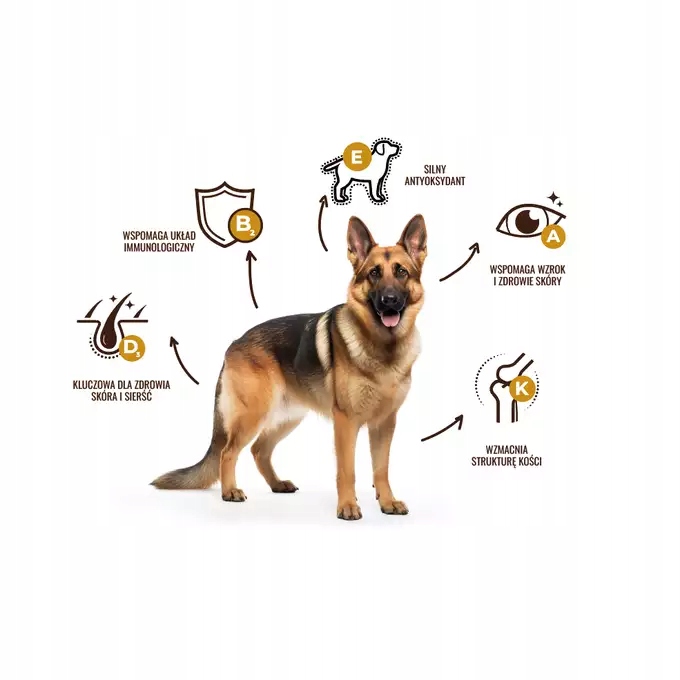 Snax Daily karma sucha mix smaków 20 kg dla Owczarka Labradora