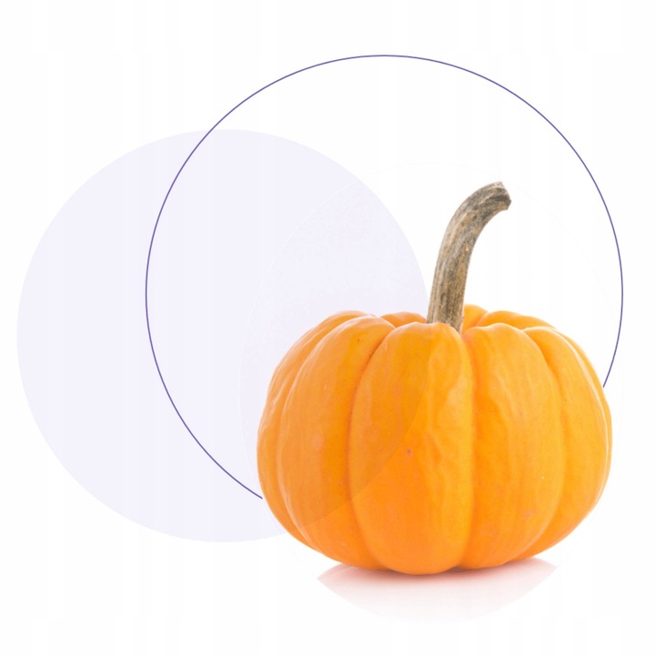 Jasnum uro 60 kapsułek