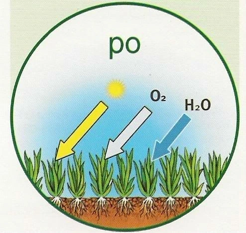Wertykulator na kółkach do oczyszczania trawnika po zimie 3395 Gardena