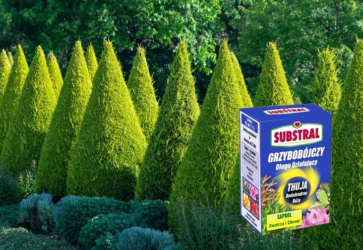 SUBSTRAL SAPROL OCHRONA TUI THUJA RÓŻE RODODENDRON ŚRODEK GRZYBOBÓJCZY 0,1L