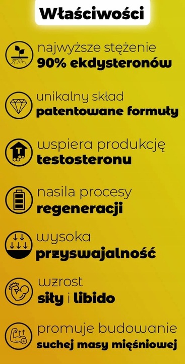 Booster Testosteronu, Libido - ecdysteroidy ECDYSTERON TESTOSTERON TABLETKI