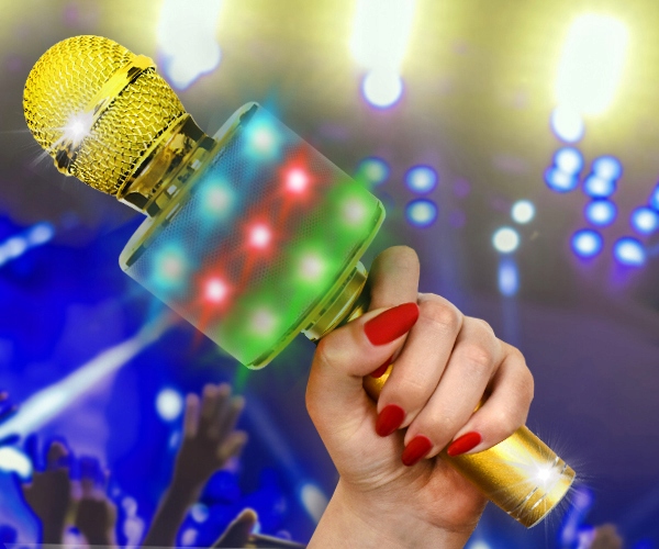 MIKROFON KARAOKE GŁOŚNY Z LAMPKAMI LED DMX ECHO