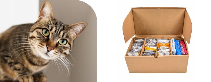 Karma mokra dla kota Saszetka Mix Smaków Wielka Paka Dla Kociaka 50 szt.