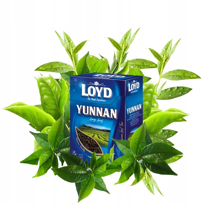 Chińska Herbata Czarna Liściasta Yunnan Long Leaf Bogaty Smak 80g LOYD