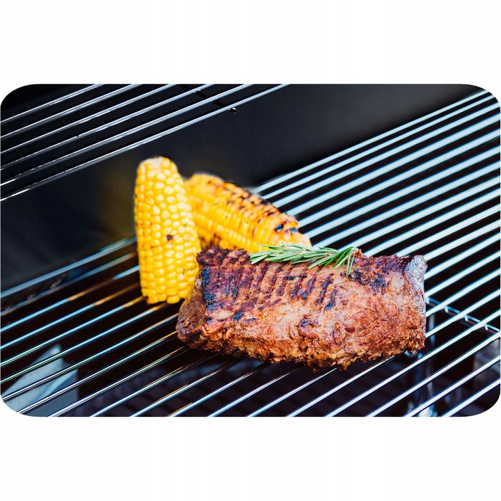 Teesa BBQ 2000 Grill gazowy - 2 palniki