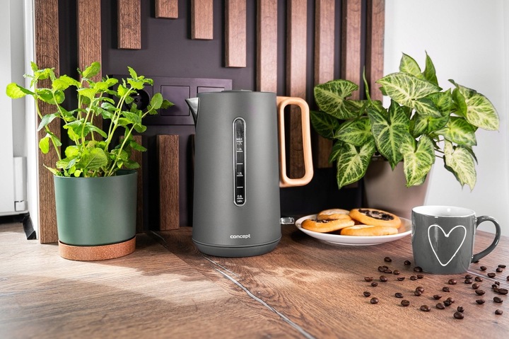 Czajnik elektryczny Concept RK3370 2200 W 1,7 l srebrny/szary