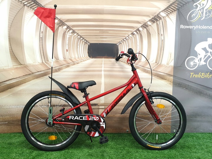 Rowerek dziecięcy dla chłopca 20" CZERWONY + chorągiewka, dzwonek, błotniki