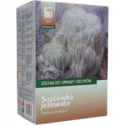 Soplówka jeżowata zestaw do uprawy grzybów