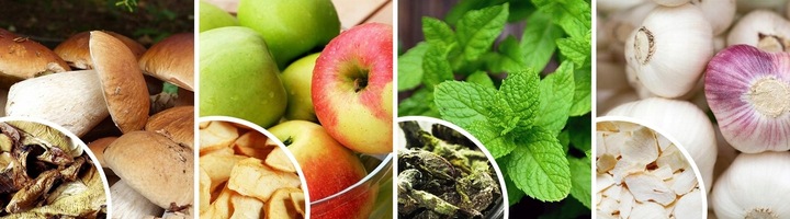 SUSZARKA SPOŻYWCZA DO GRZYBÓW OWOCÓW WARZYW ZIOŁ 14,4L DUŻY ZESTAW 6 SIT