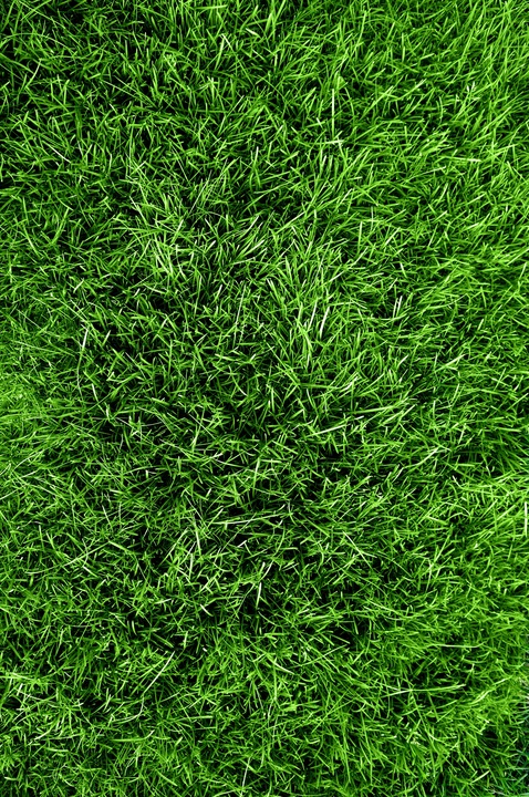 Wysokoazotowy nawóz do trawnika Vegano wspierany naturą 3x8 kg Target 24 kg