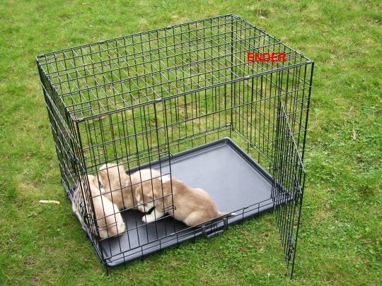 DUŻA KLATKA KENNELOWA KOJEC Transporter dla PSA PSÓW 106x71x81 cm XXL