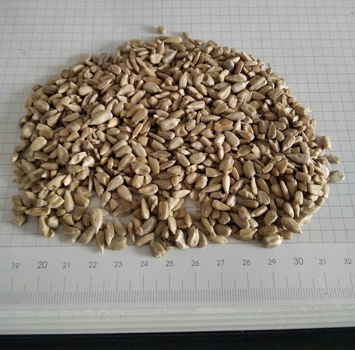 Słonecznik łuskany 25 kg