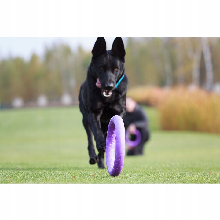 Szarpak dla psa PULLER Standard 28 cm - Zabawka 2 ringi dla dużych ras psów