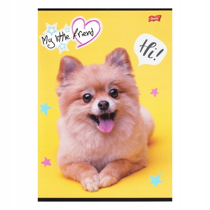 2 x MY LITTLE FRIEND ZESZYT A4/32 kratka z marginesem dla dziewczynki 8302