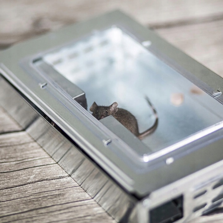 Pułapka Na Myszy Szczury Gryzonie Łapka Żywołapka Myszołapka Humanitarna