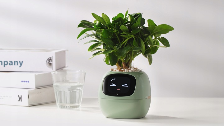 Inteligentna doniczka IVY SMART PLANTER osłonka na donicę PLANTSIO ZIELONA