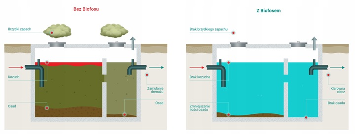 BIOFOS PROFESSIONAL 1kg + 150g do szamb i przydomowych oczyszczalni ścieków
