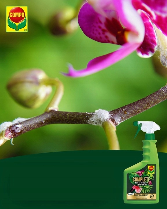 COMPO COMPLETE 2w1 NA CHOROBY I SZKODNIKI MSZYCE PRZĘDZIORKI WEŁNOWCE PLEŚŃ