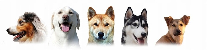 VetExpert Joints&mobility (30 kaps. Toff)