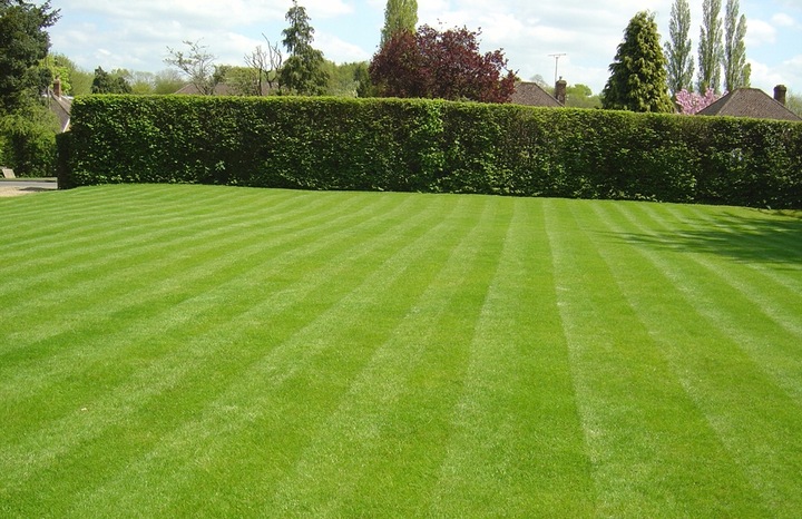 NAWÓZ S TRAWNIK 10kg DO TRAWY ZWARTA DARŃ WYBARWIA