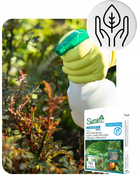 Oprysk Preparat Środek Owadobójczy + Grzybobójczy Miedzian+Mospilan ZESTAW