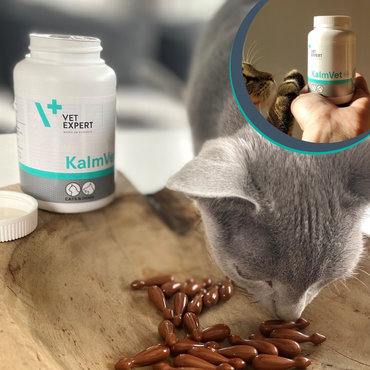 Preparat dla psów i kotów na stres Vet Expert Kalmvet 60 kapsułek twist-off